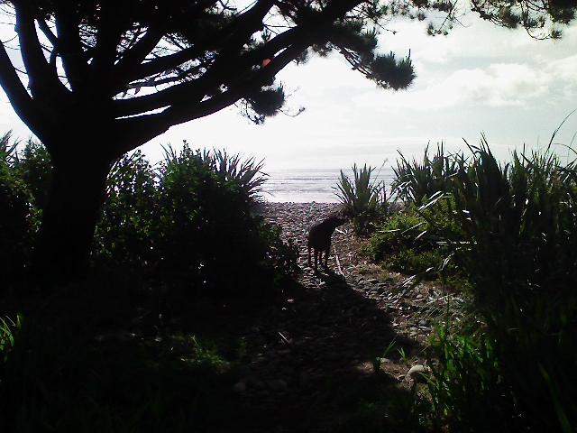 phs159