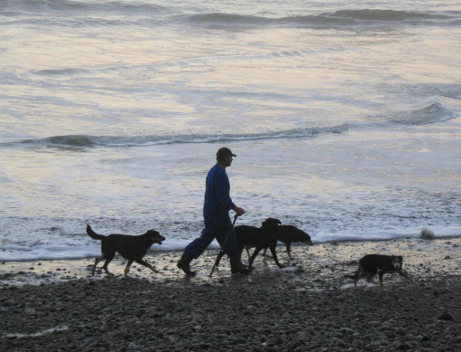 Man & 4 dog