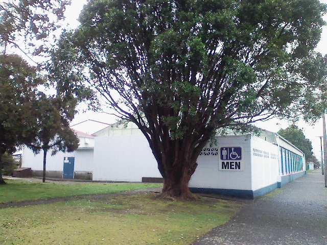 phs389