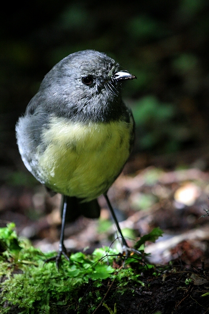 PaulMurray_photo004