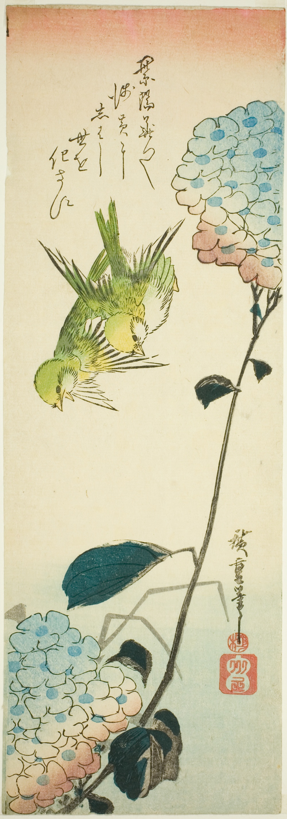 「緑鳥と紫陽花」