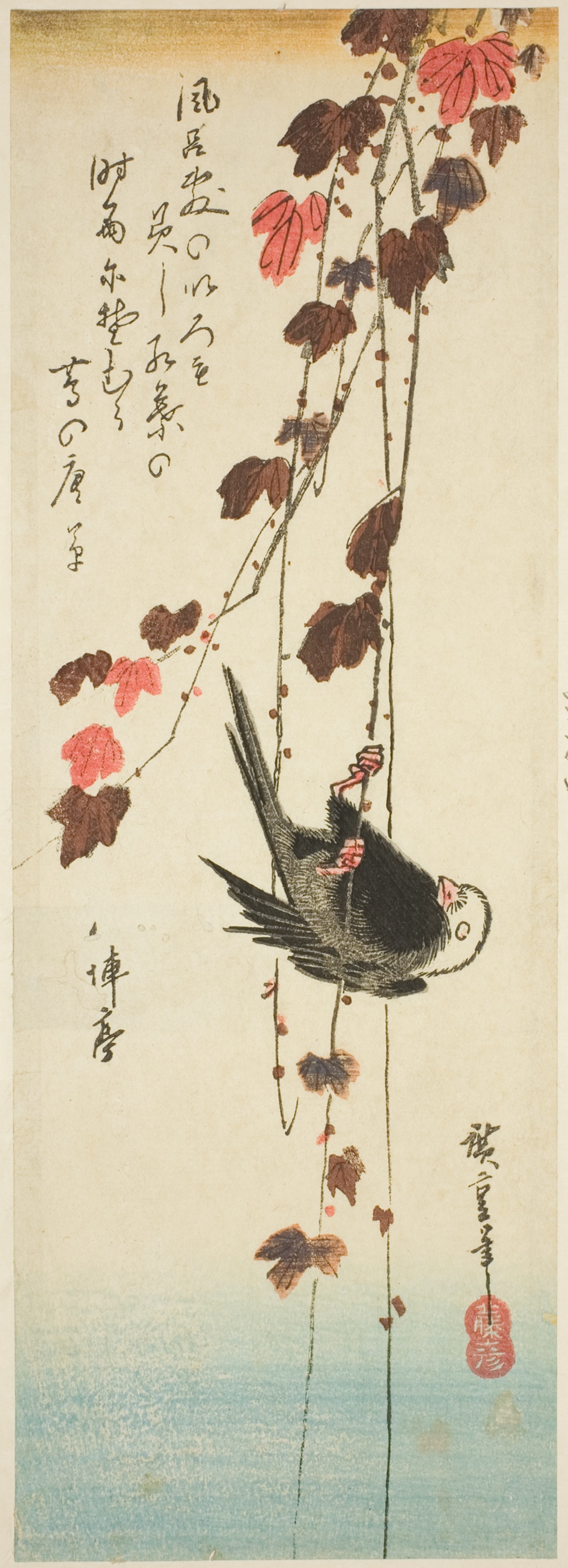 「白頭鳥と蔦」