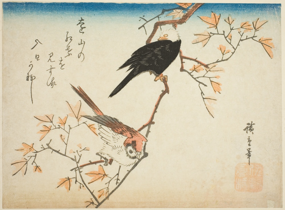 「楓に二羽の鳥」