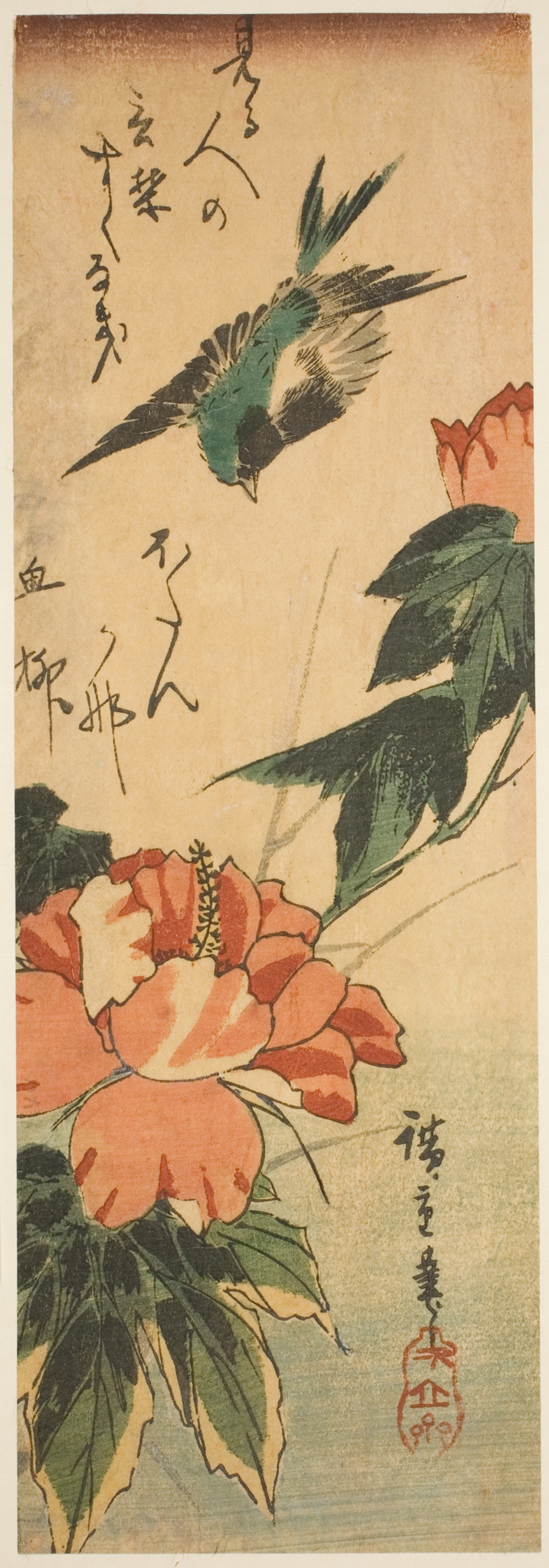 「燕と芙蓉」