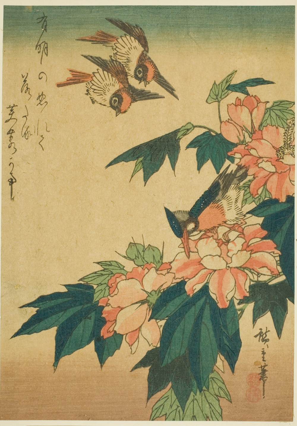 「燕、カワセミ、芙蓉」