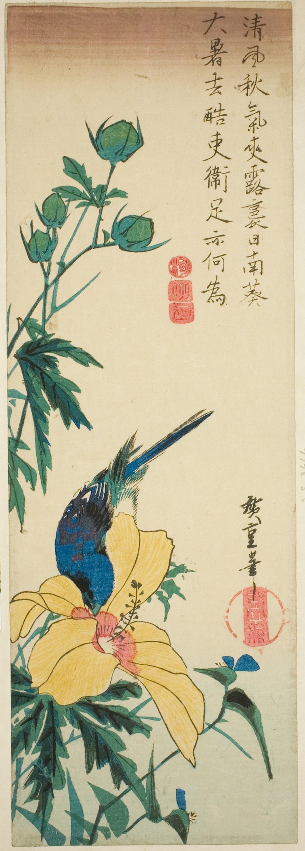 「青鳥と芙蓉」