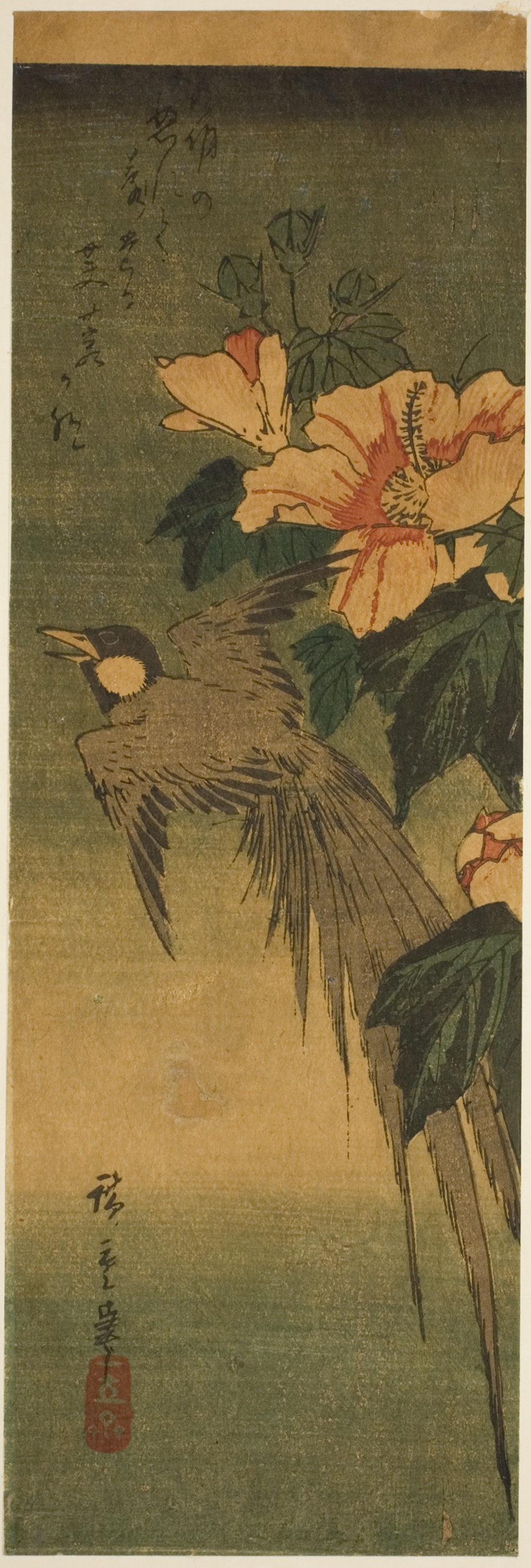 「尾長鳥と芙蓉」