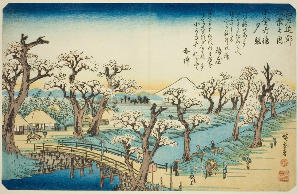 『江戸近郊八景』より「小金井橋夕照」