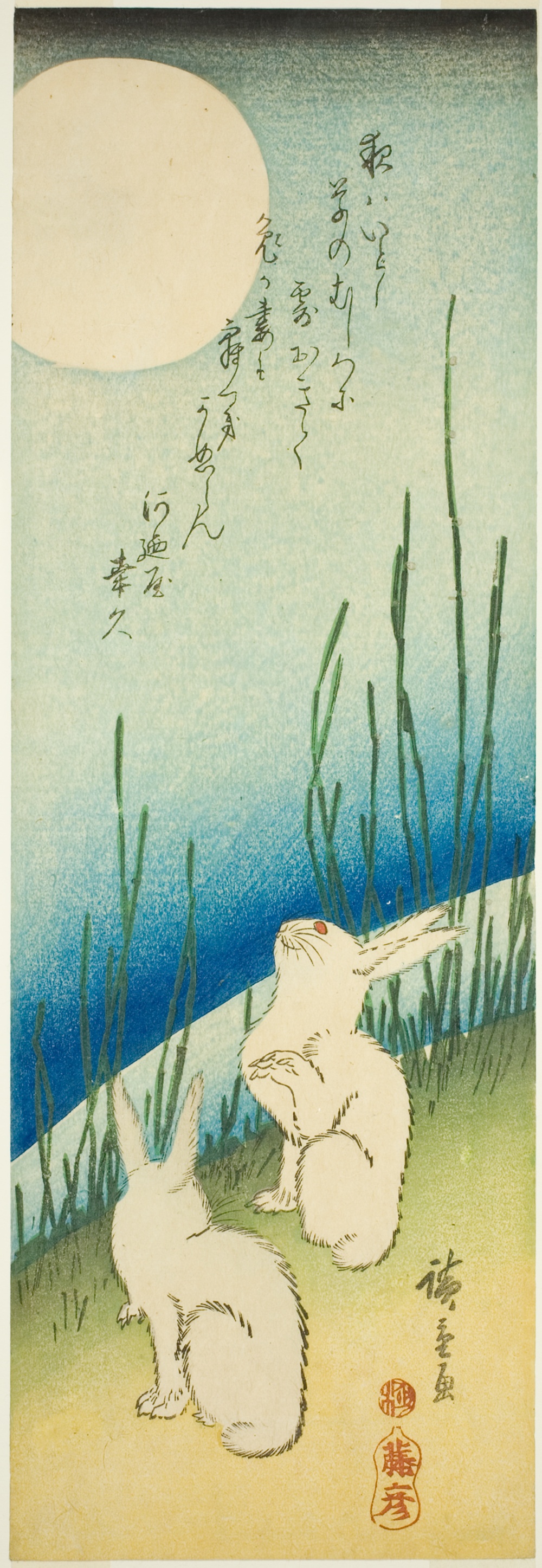 「満月下の兎」