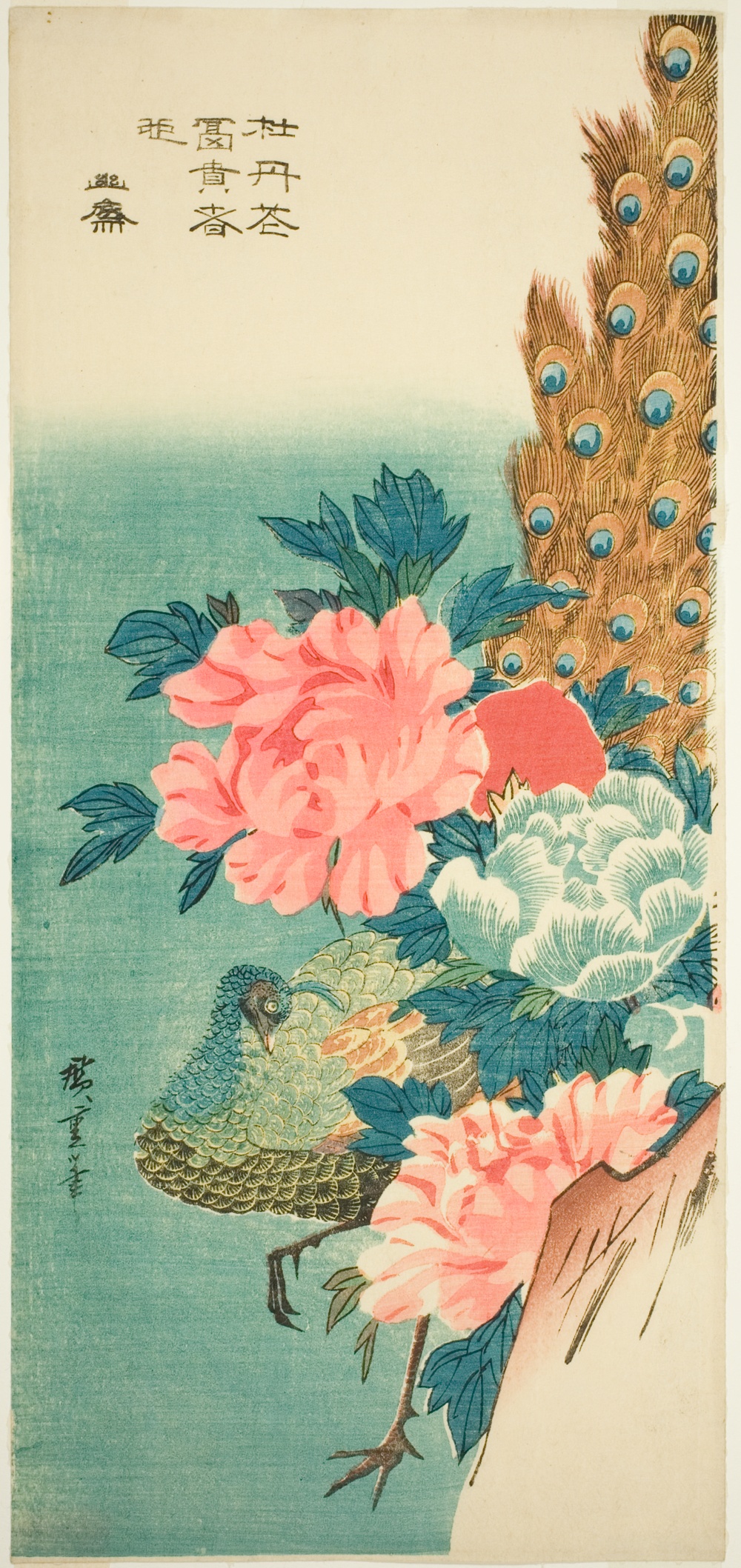 「孔雀と牡丹」