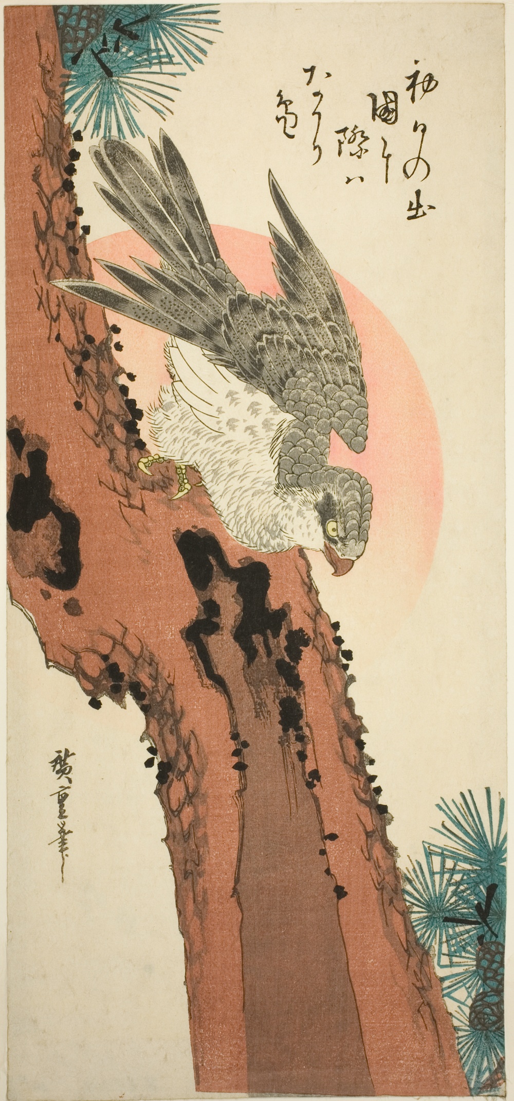 旭日松鷹図