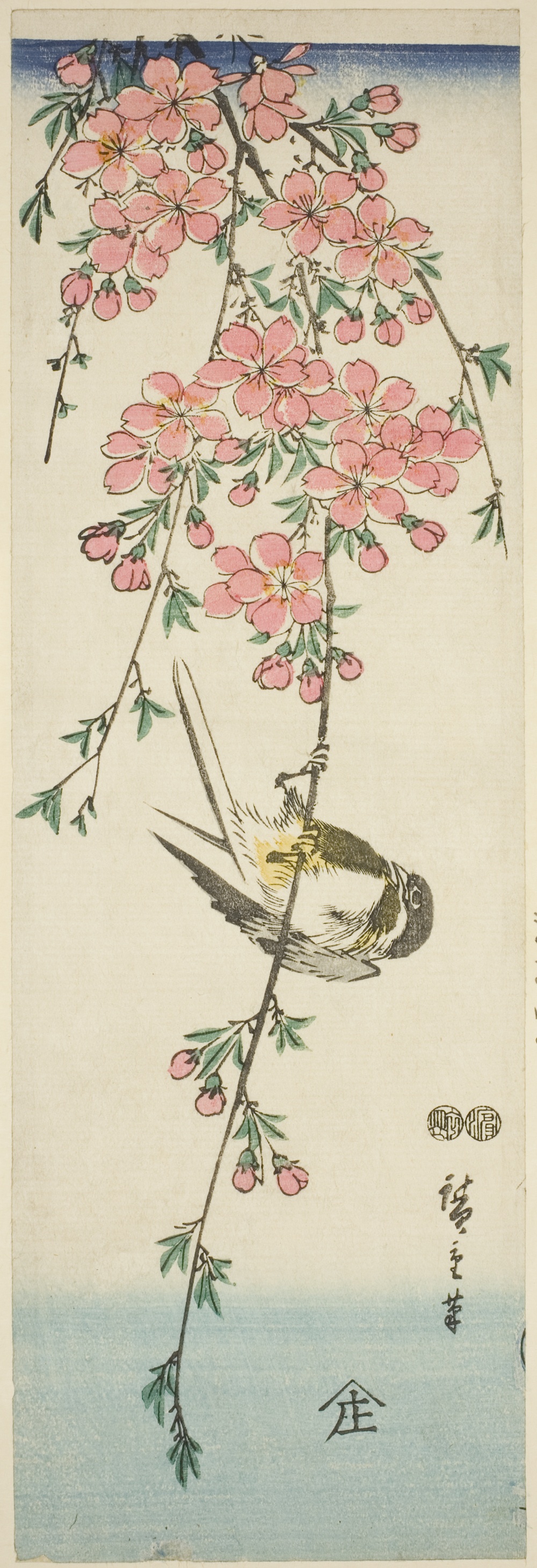 「大山雀と桜」