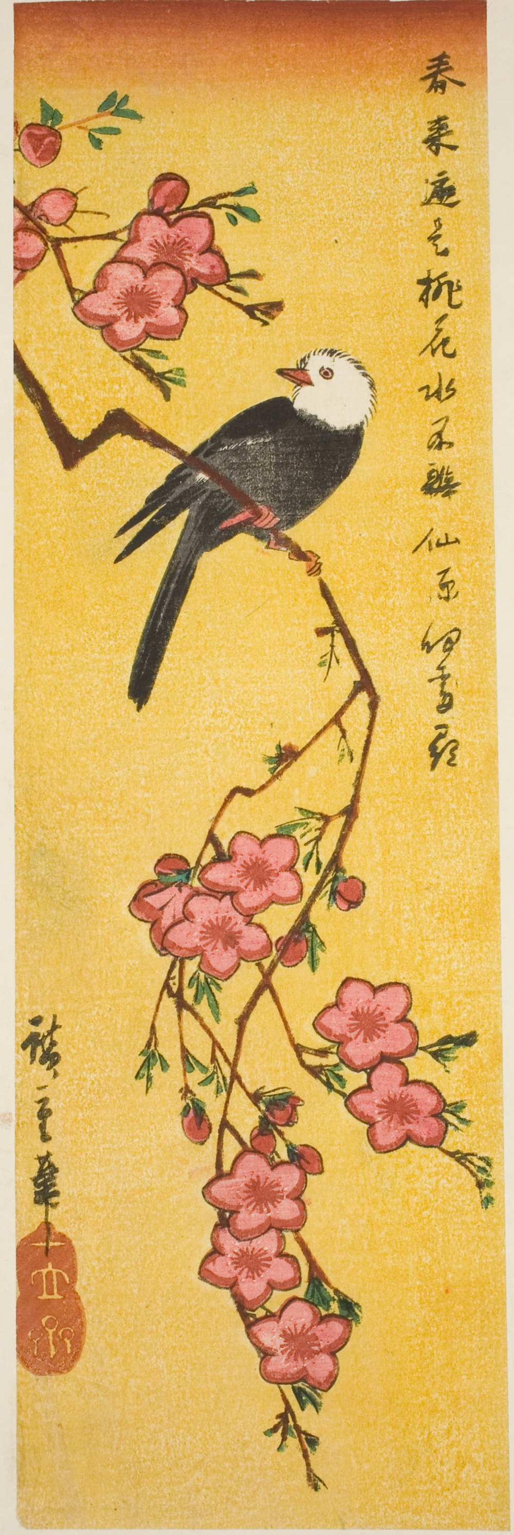 「桃枝に白頭鳥」