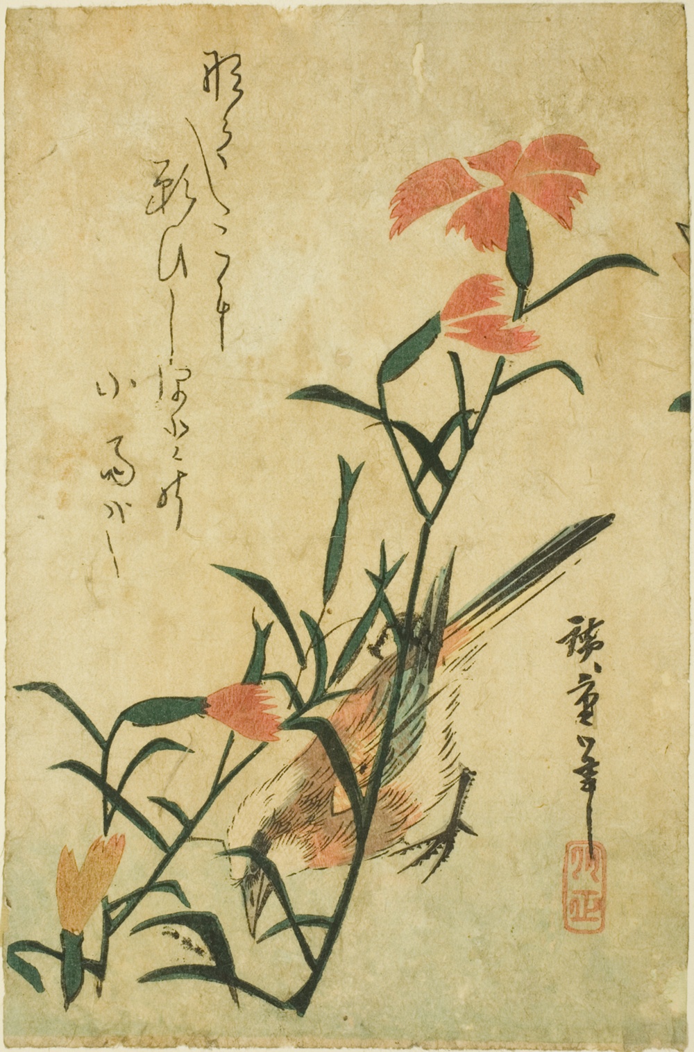 「鳥と野生ナデシコ」