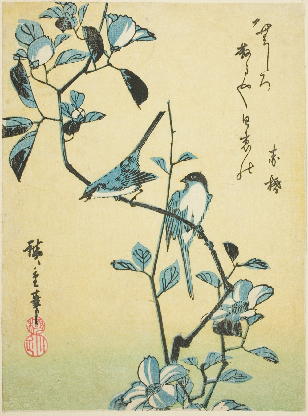 「椿に鳥」