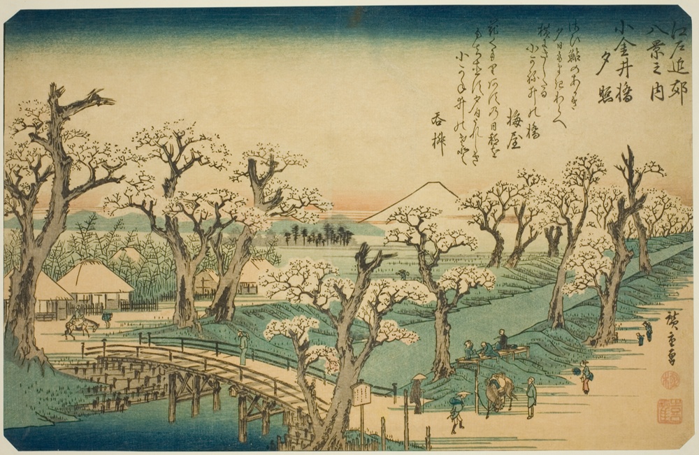 『江戸近郊八景』より「小金井橋夕照」