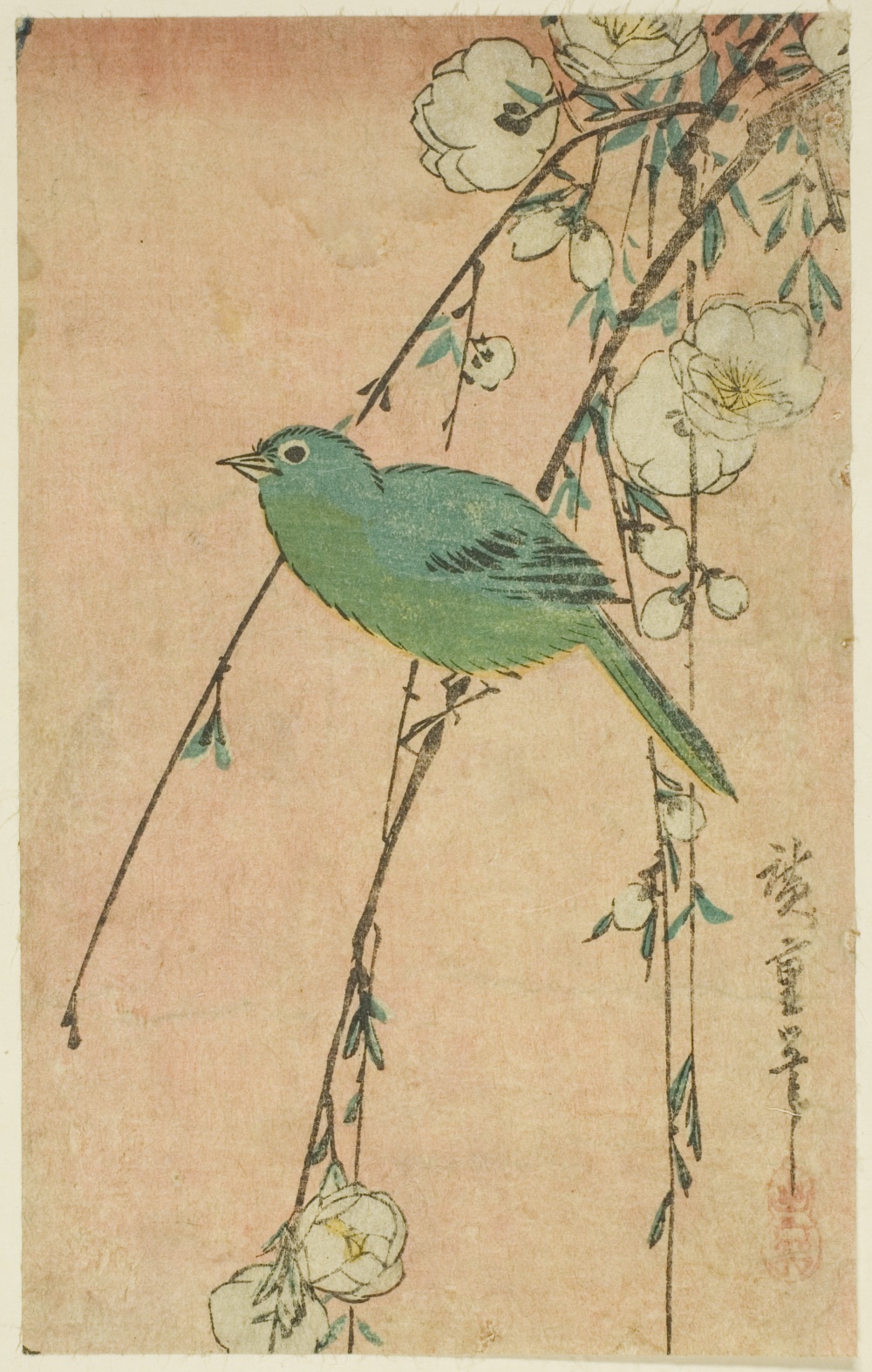 「メジロと枝垂れ桜」