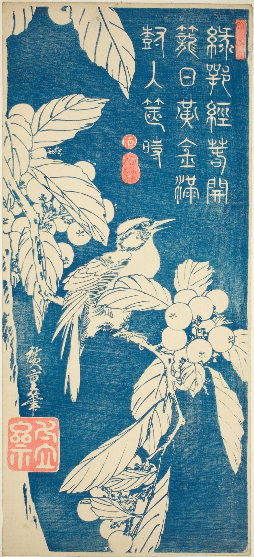「枇杷と鳥」