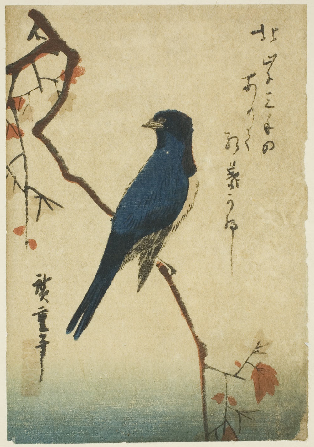 「楓に青鳥」