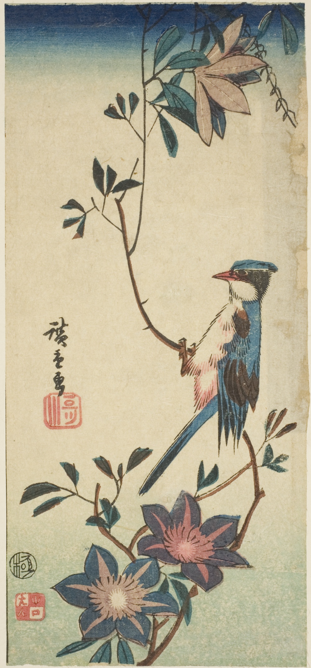 「蔓に青い鳥」