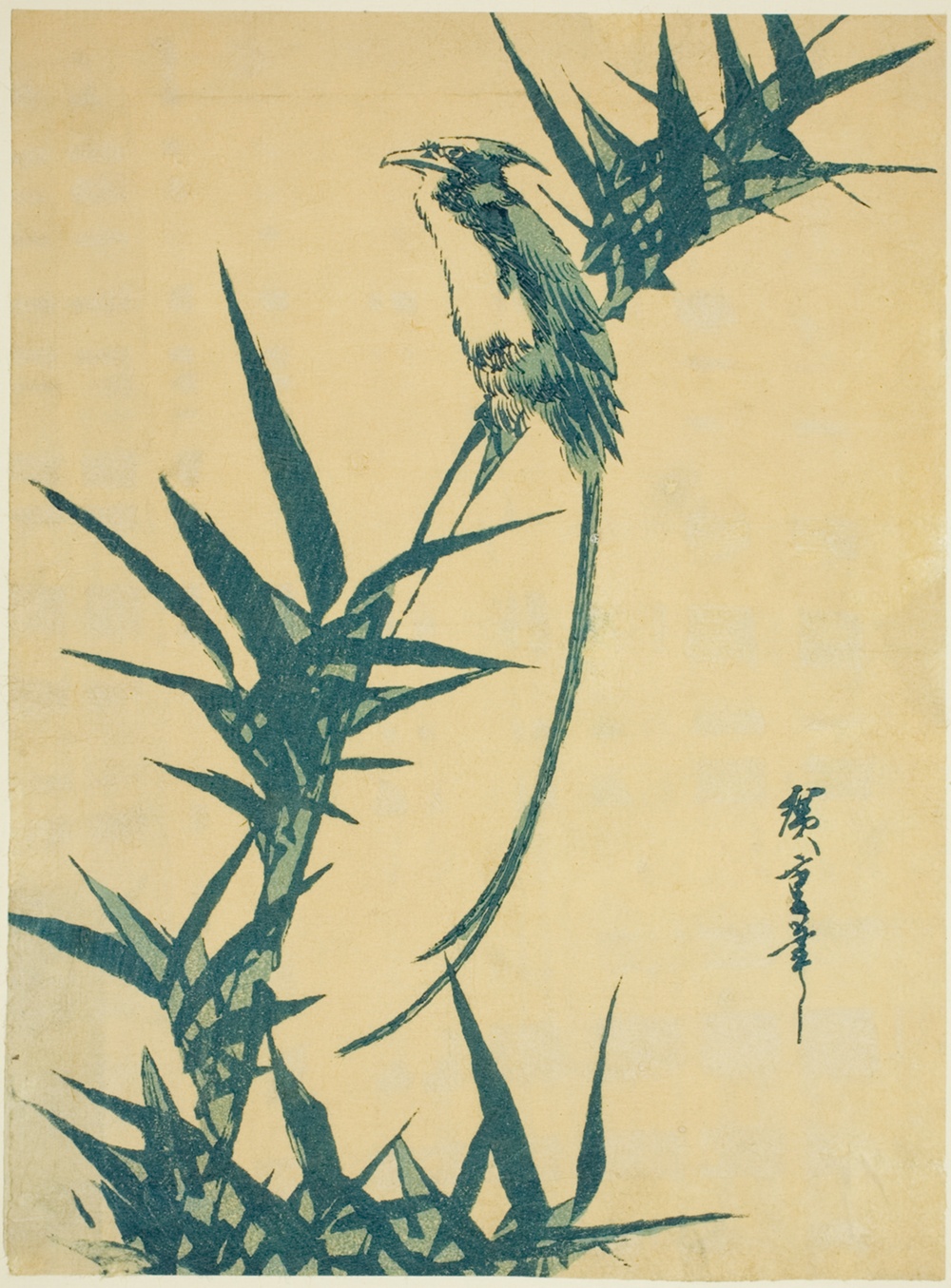 「尾長鳥と竹」