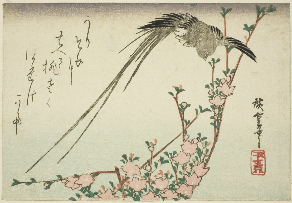 「長尾鳥と桃の花」