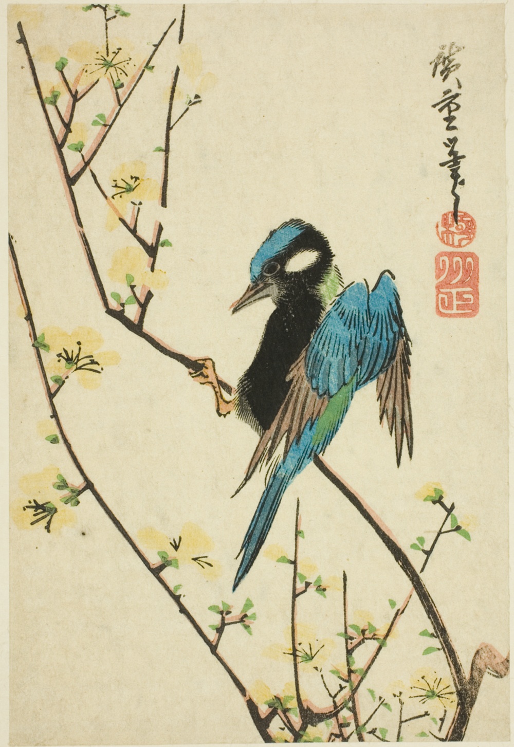 「桜枝の文鳥」