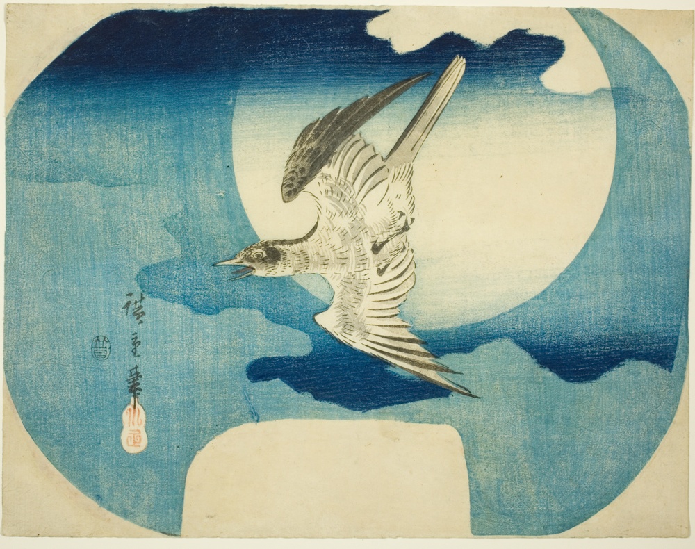 「月下の不如帰」