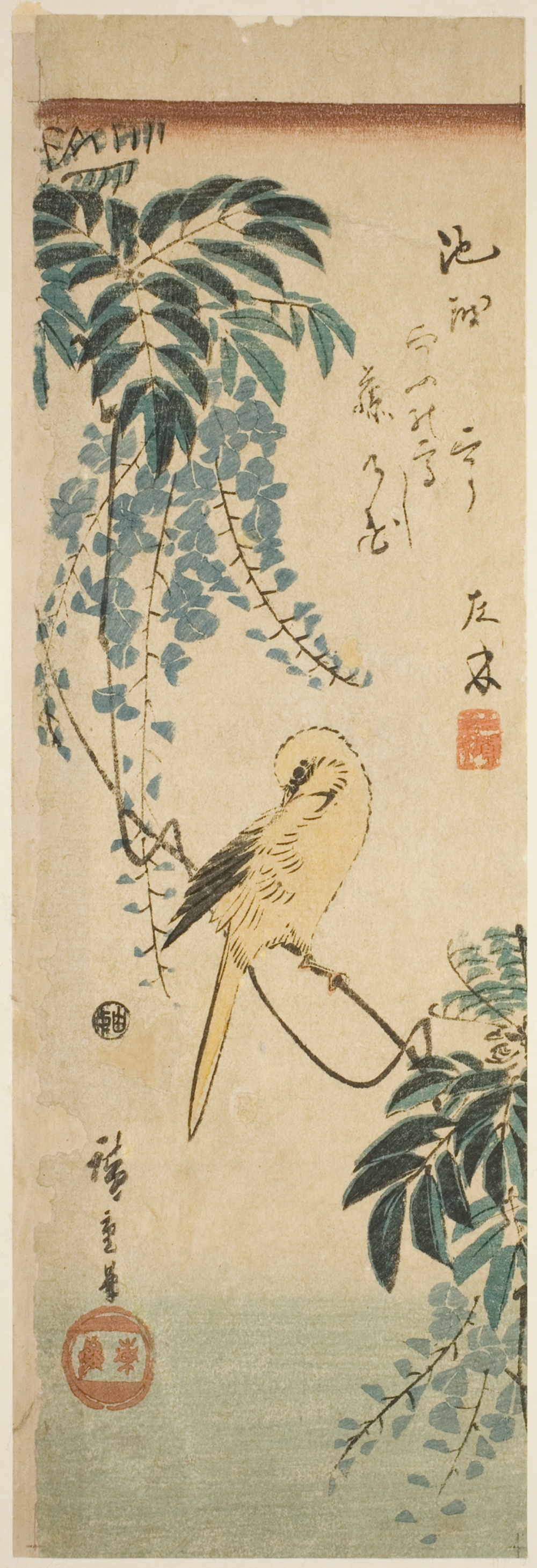 「カナリアと藤」