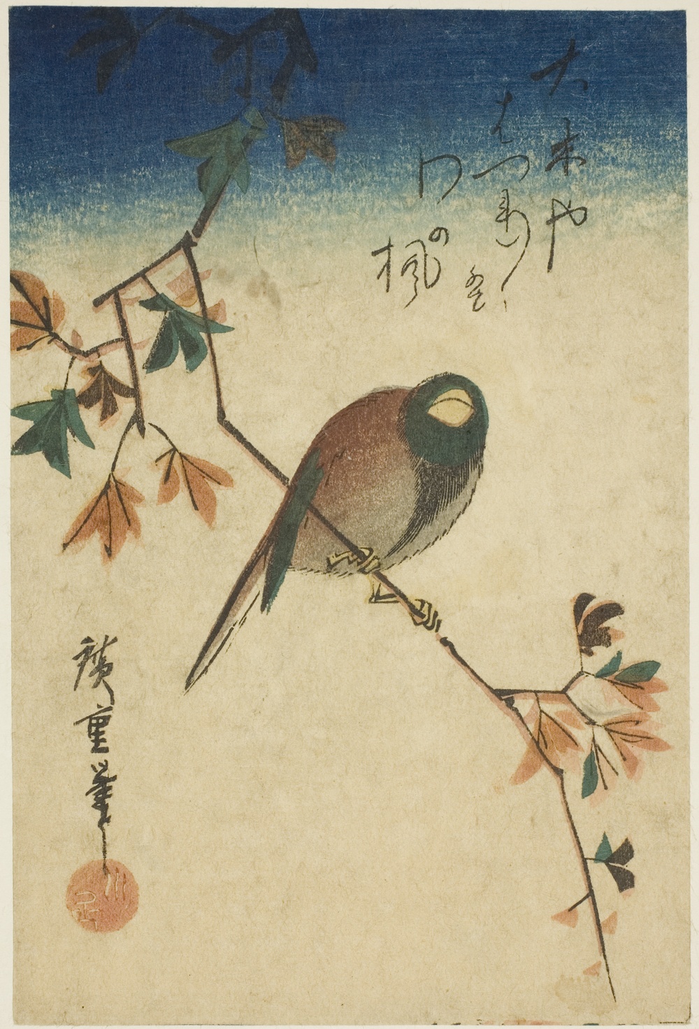 「楓に鳥」