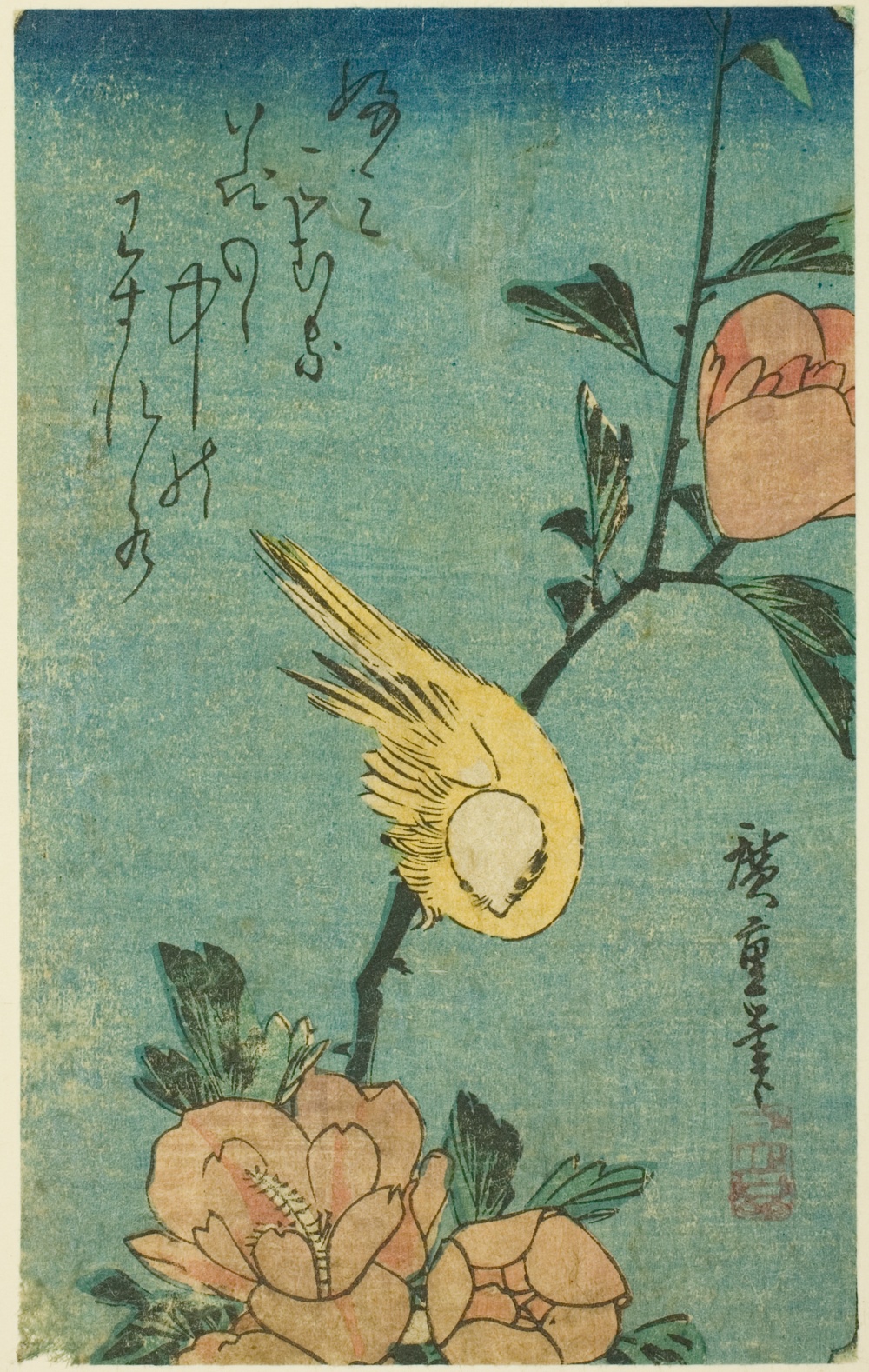 「黄鳥と芙蓉」