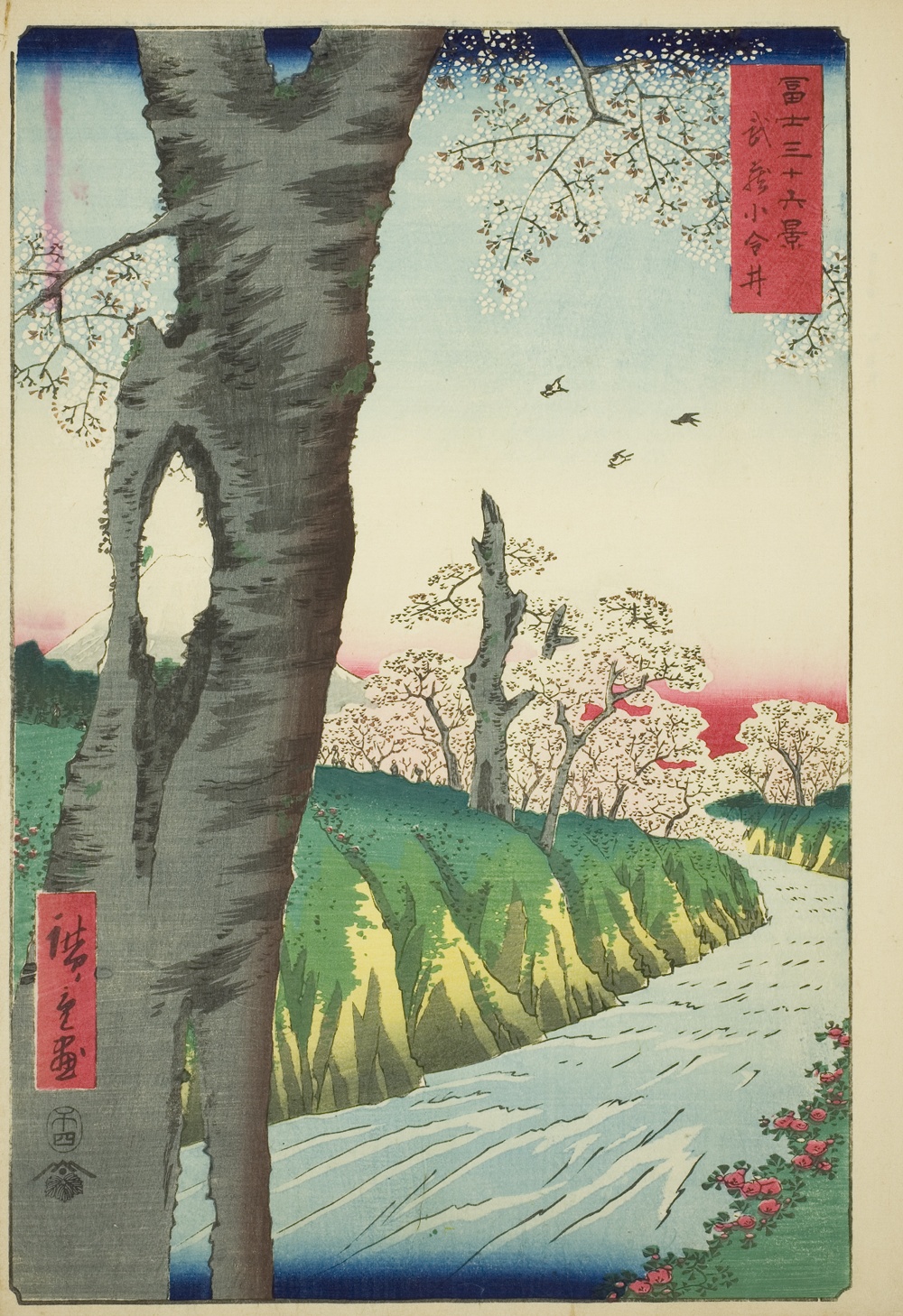 『富嶽三十六景』より「武蔵小金井」