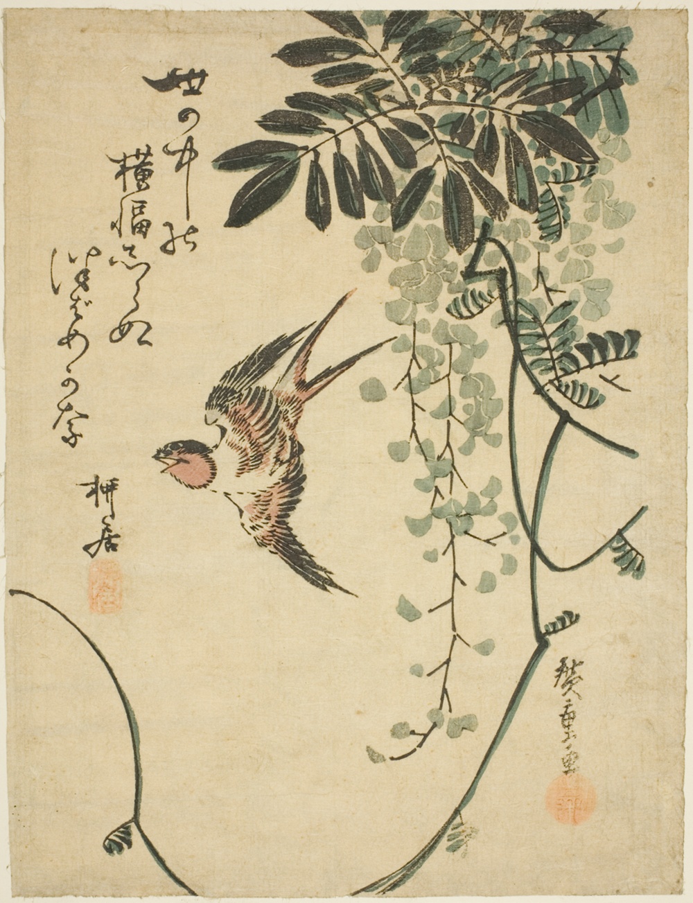 「燕と藤」