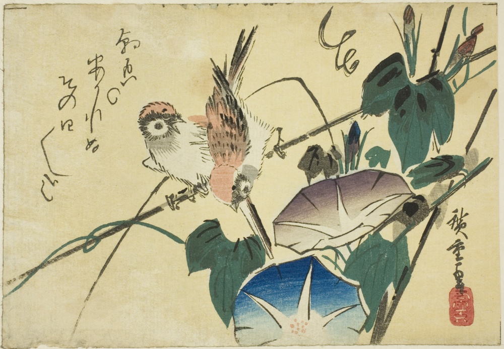 「朝顔と雀」