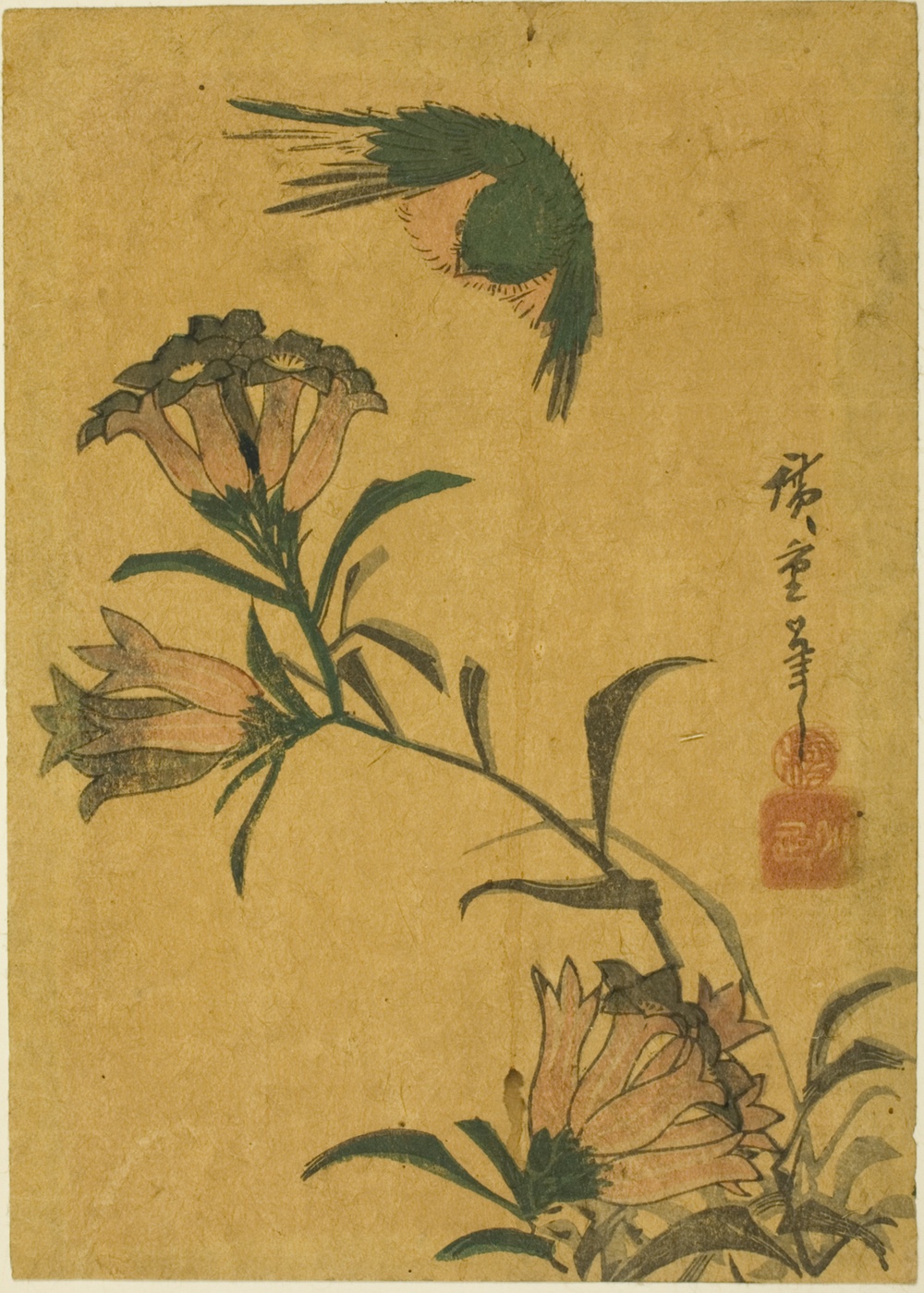 「鳥とリンドウ」