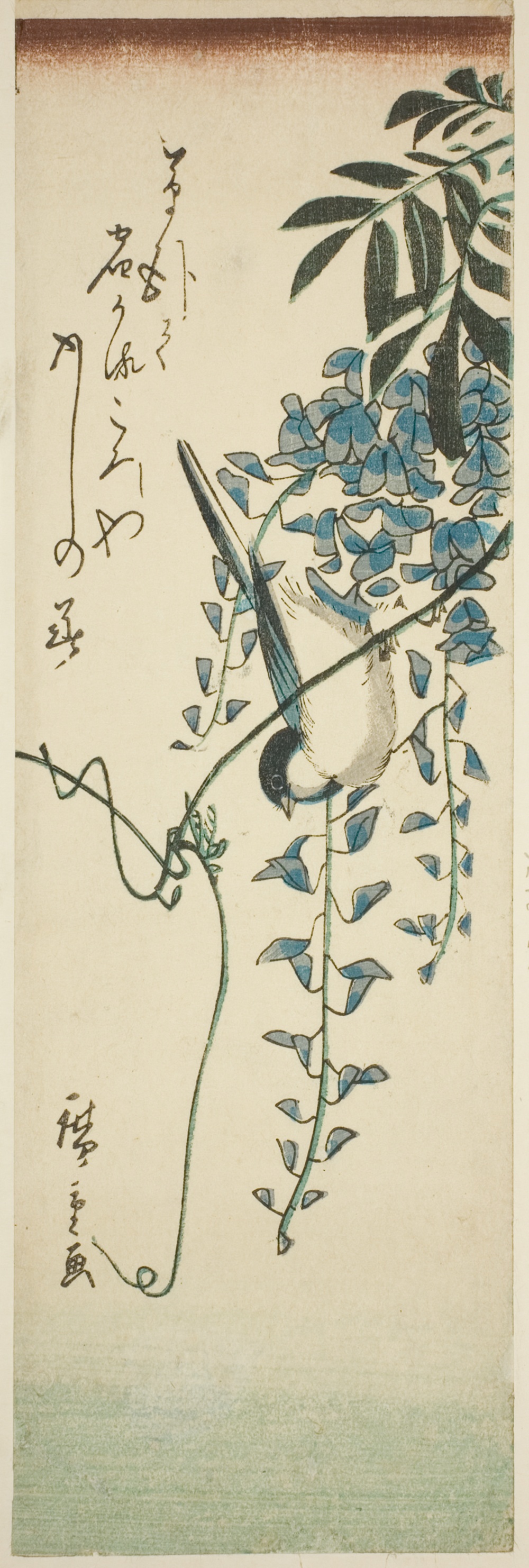 「鳥と藤」